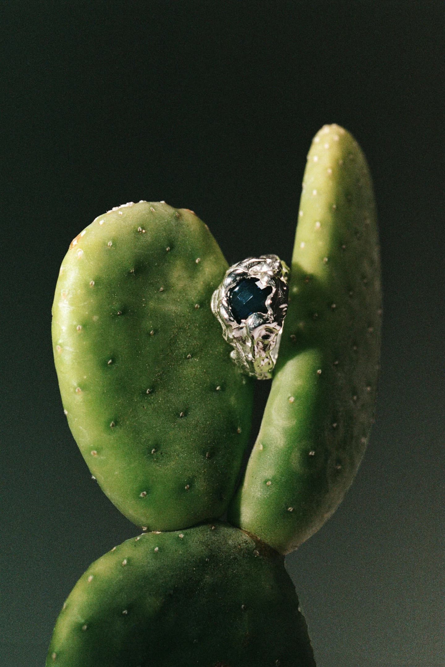 Design in Layers: Forma Strata and the Philosophy of Living with Objects